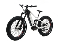 Aluminiowa rama zawieszenia Fat Tire Bike, pedał wspomagający Fat Bike Mid Drive Motor