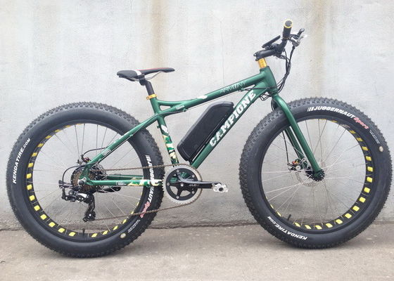 500W Elektryczny asystent Fat Bike Bateria litowa 48V 10,4 AH Bezszczotkowy silnik